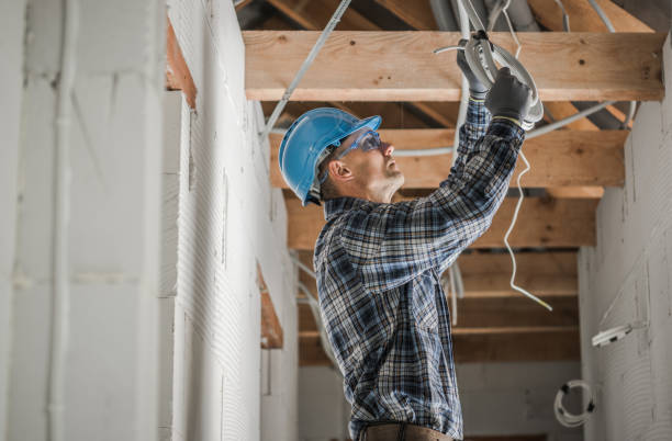 Best Home Electrical Repair  in Moville, IA
